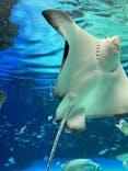 サンシャイン水族館に投稿された画像（2022/3/5）