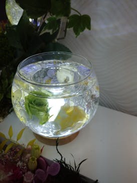 ずこうしつ〜sugamo〜に投稿された画像（2022/3/5）