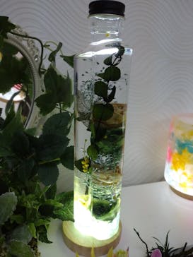 ずこうしつ〜sugamo〜に投稿された画像（2022/3/5）