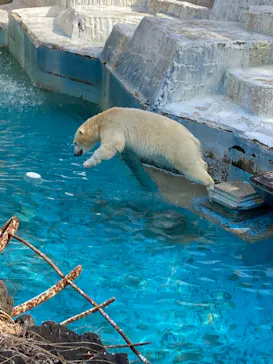 天王寺動物園に投稿された画像（2022/3/5）