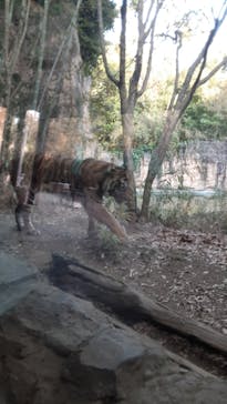 よこはま動物園ズーラシアに投稿された画像（2022/3/5）