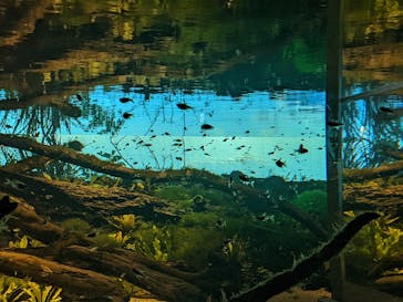 カワスイ 川崎⽔族館に投稿された画像（2022/3/5）