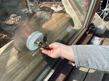 横浜・八景島シーパラダイスに投稿された画像（2022/3/5）