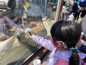 横浜・八景島シーパラダイスに投稿された画像（2022/3/5）