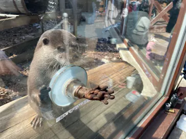 横浜・八景島シーパラダイスに投稿された画像（2022/3/5）