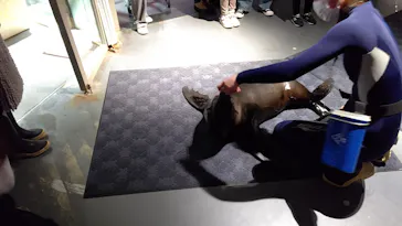 すみだ水族館に投稿された画像（2022/3/5）