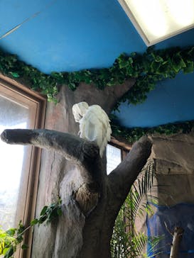 那須どうぶつ王国に投稿された画像（2022/3/5）