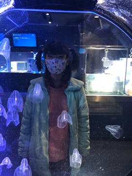 名古屋港水族館に投稿された画像（2022/3/5）