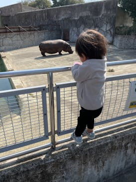 東武動物公園に投稿された画像（2022/3/5）