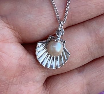 しながわ水族館に投稿された画像（2022/3/5）