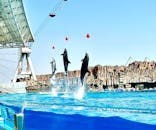 名古屋港水族館に投稿された画像（2022/3/5）