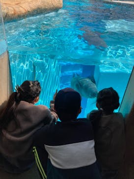 マリンワールド海の中道に投稿された画像（2022/3/5）