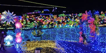 伊豆ぐらんぱる公園に投稿された画像（2022/3/5）