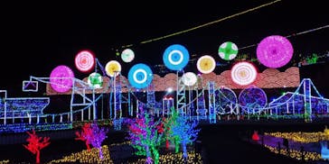 伊豆ぐらんぱる公園に投稿された画像（2022/3/5）