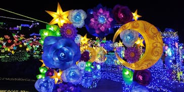 伊豆ぐらんぱる公園に投稿された画像（2022/3/5）