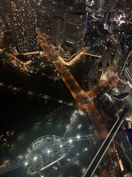 横浜ランドマークタワー 69階展望フロア スカイガーデンに投稿された画像（2022/3/5）