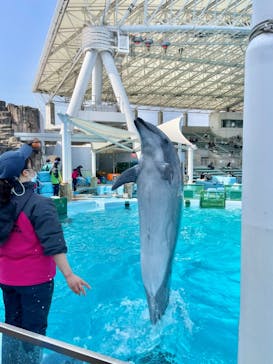 名古屋港水族館に投稿された画像（2022/3/5）