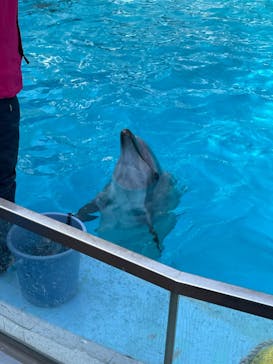 名古屋港水族館に投稿された画像（2022/3/5）