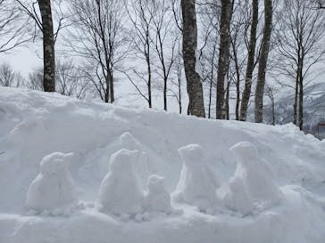 白馬岩岳スノーフィールドに投稿された画像（2022/3/5）