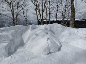 白馬岩岳スノーフィールドに投稿された画像（2022/3/5）