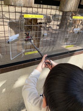 群馬サファリパークに投稿された画像（2022/3/5）