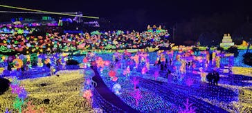 伊豆ぐらんぱる公園に投稿された画像（2022/3/5）