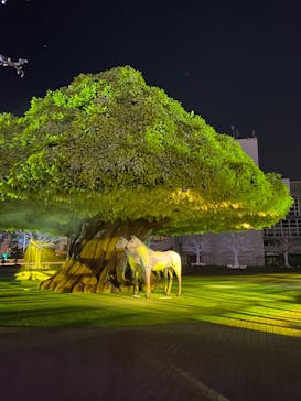東京メガイルミに投稿された画像（2022/3/5）