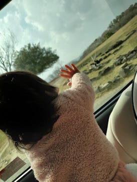 姫路セントラルパークに投稿された画像（2022/3/5）