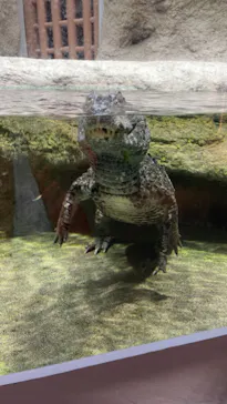 仙台うみの杜水族館に投稿された画像（2022/3/5）