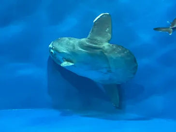 仙台うみの杜水族館に投稿された画像（2022/3/5）
