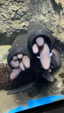仙台うみの杜水族館に投稿された画像（2022/3/5）