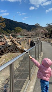 伊豆アニマルキングダムに投稿された画像（2022/3/4）