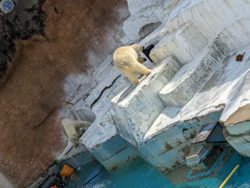 天王寺動物園に投稿された画像（2022/3/6）
