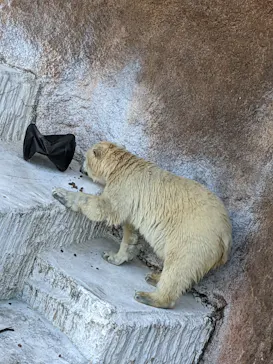 天王寺動物園に投稿された画像（2022/3/6）