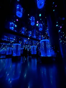 マクセル アクアパーク品川に投稿された画像（2022/3/6）