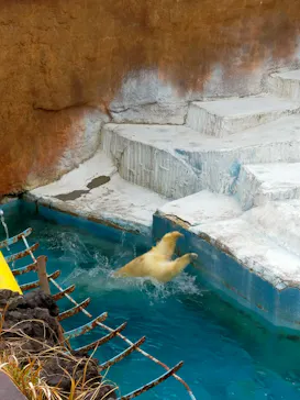 天王寺動物園に投稿された画像（2022/3/6）