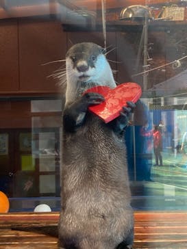 ゼロ距離水族館 伊勢シーパラダイスに投稿された画像（2022/3/6）