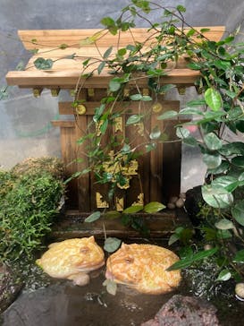 ゼロ距離水族館 伊勢シーパラダイスに投稿された画像（2022/3/6）