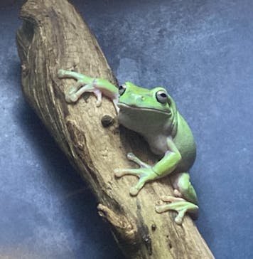 ゼロ距離水族館 伊勢シーパラダイスに投稿された画像（2022/3/6）