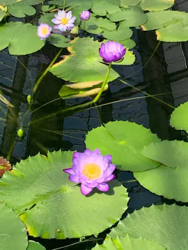 神戸どうぶつ王国に投稿された画像（2022/3/6）