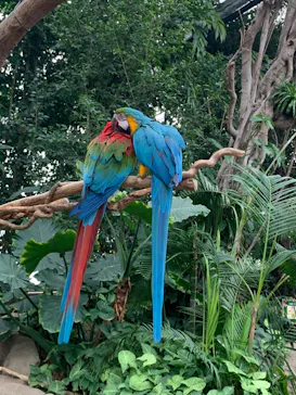 神戸どうぶつ王国に投稿された画像（2022/3/6）