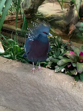 神戸どうぶつ王国に投稿された画像（2022/3/6）