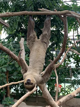 神戸どうぶつ王国に投稿された画像（2022/3/6）