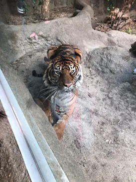 神戸どうぶつ王国に投稿された画像（2022/3/6）