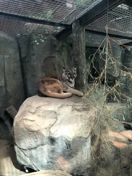 神戸どうぶつ王国に投稿された画像（2022/3/6）