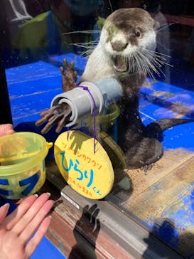 ゼロ距離水族館 伊勢シーパラダイスに投稿された画像（2022/3/6）