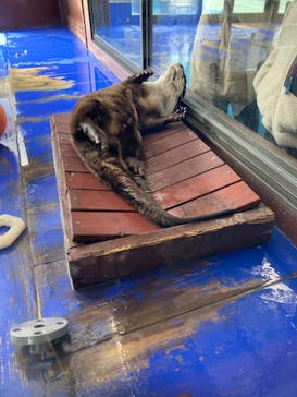 ゼロ距離水族館 伊勢シーパラダイスに投稿された画像（2022/3/6）