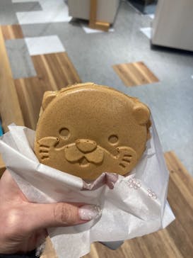 ゼロ距離水族館 伊勢シーパラダイスに投稿された画像（2022/3/6）