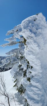 志賀高原マウンテンリゾートに投稿された画像（2022/3/6）