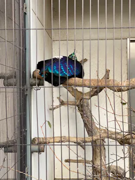 天王寺動物園に投稿された画像（2022/3/6）